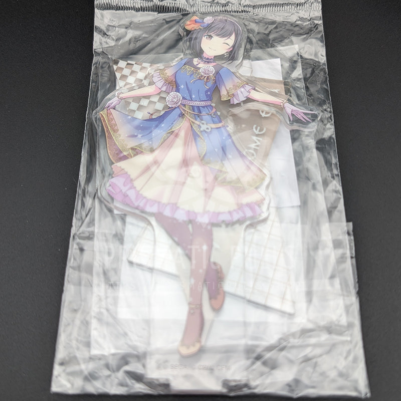 Project SEKAI - Acrylic Stand - Ena Shinonome ("Carnation Recollection")