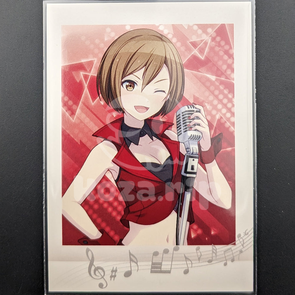 Project SEKAI - Pashakore - MEIKO