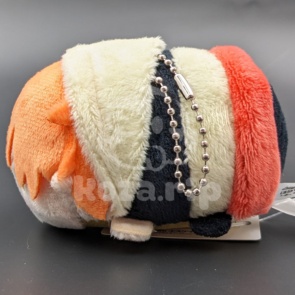 Project SEKAI - MochiMochi Mascot Plush - Akito Shinonome