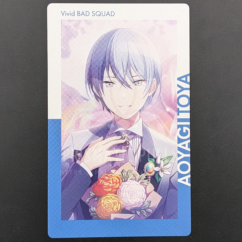 Project SEKAI Birthday Series - ePick Card - Toya Aoyagi (2021-2022 ver.)