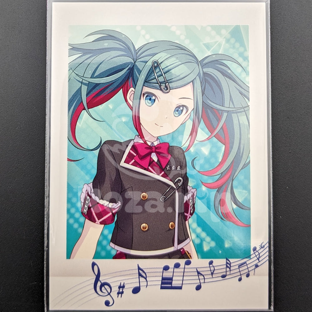 Project SEKAI - Pashakore - Miku Hatsune (Leo/need ver.)