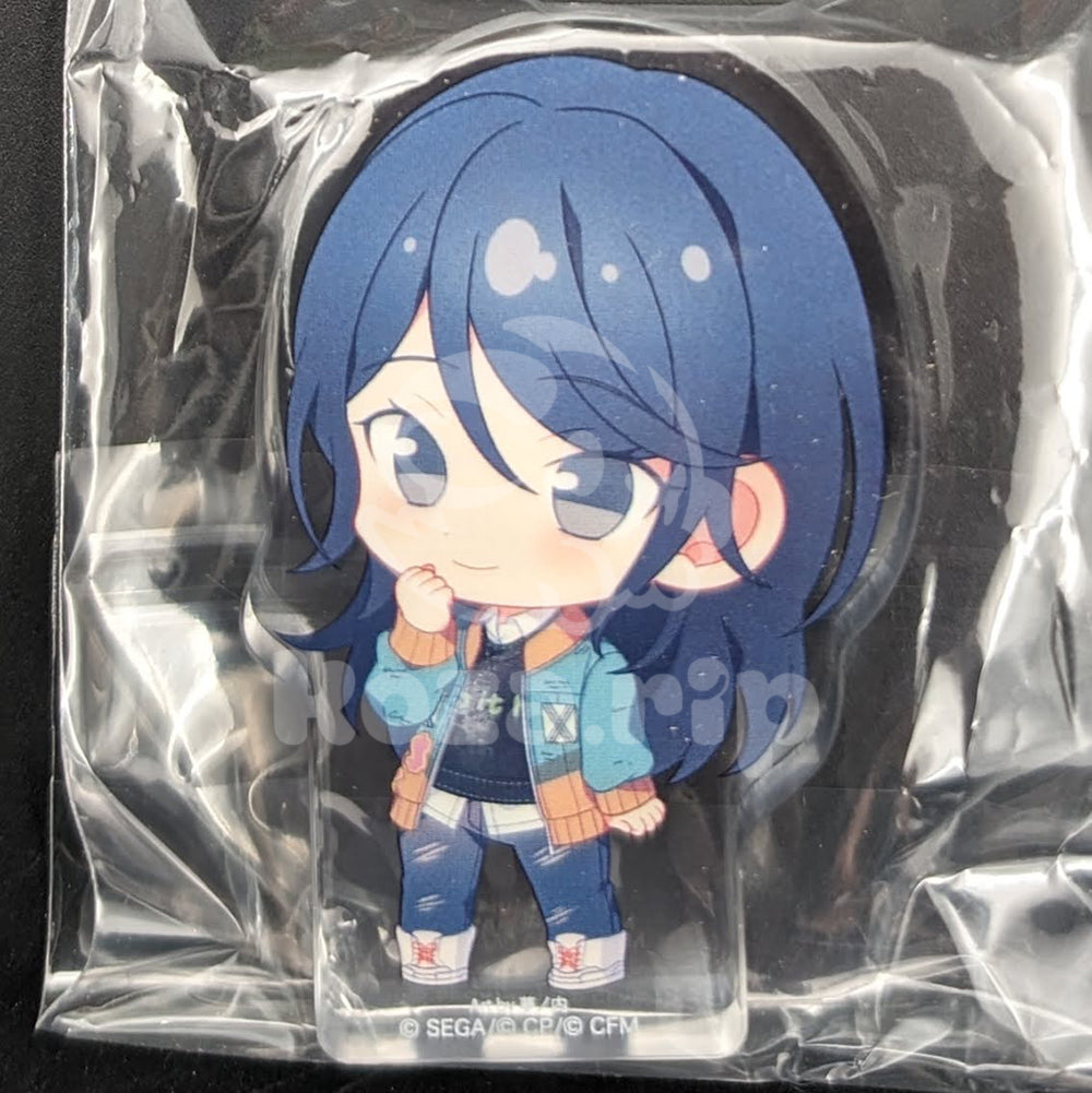 Project SEKAI - Animate Only Shop Acrylic Block - Ichika Hoshino