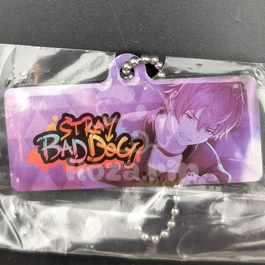Project SEKAI - Capsule Metal Keychain - Akito Shinonome ("STRAY BAD DOG")