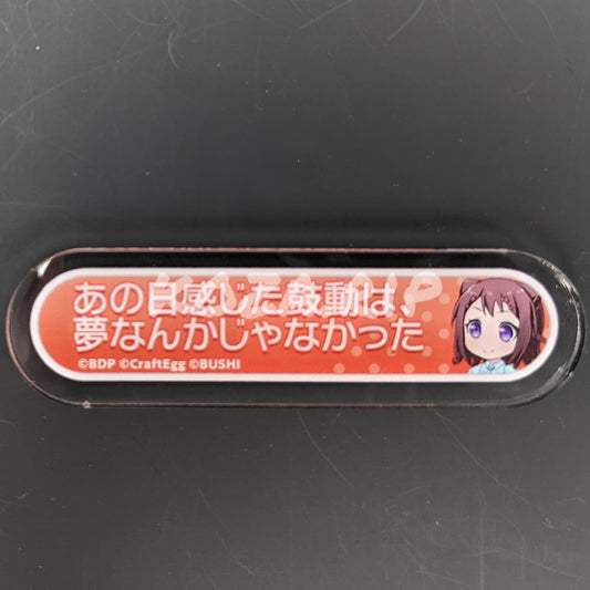 BanG Dream! - Title Acrylic Badge - Kasumi Toyama - "The beat of the stars I heard that day wasn't just a dream!"